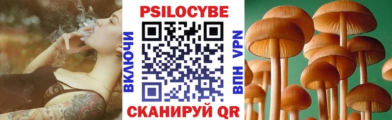 Купить Спасск-Рязанский Галлюциногенные грибы прущие грибы